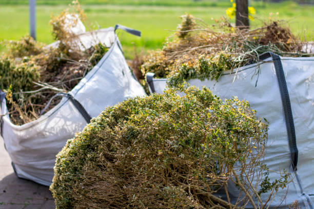 Best Estate Cleanout Services  in Alton, TX